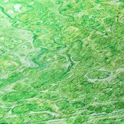 Copeland Lime 1 ft. 8 in. x 2 ft. 6 in. Abstract Accent Rug by Addison Rugs 15 Copeland Lime 1 ft. 8 in. x 2 ft. 6 in. Abstract Accent Rug by Addison Rugs -TrafficMaster || Addison Rugs Sales lime addison rugs area rugs hdkc5lm20x30 4f 1000