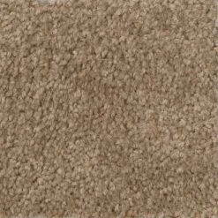 Hot Shot II - Color Tuscan Indoor 12 ft. Texture Beige Carpet by TrafficMaster