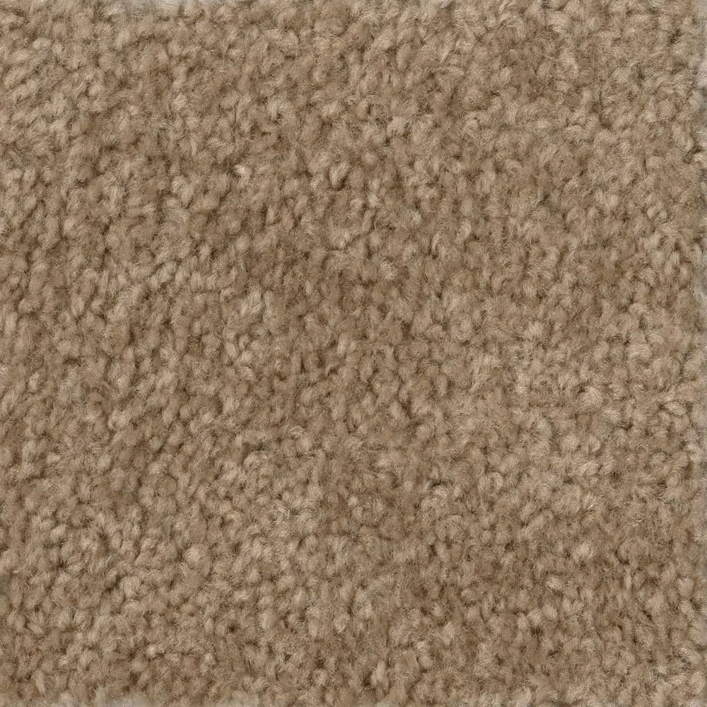 Hot Shot II - Color Tuscan Indoor 12 ft. Texture Beige Carpet by TrafficMaster 3 Hot Shot II - Color Tuscan Indoor 12 ft. Texture Beige Carpet by TrafficMaster
