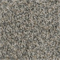 Prancer - Color Woodland Indoor 12 ft. Texture Beige Carpet (1080 sq. ft./Roll) by TrafficMaster